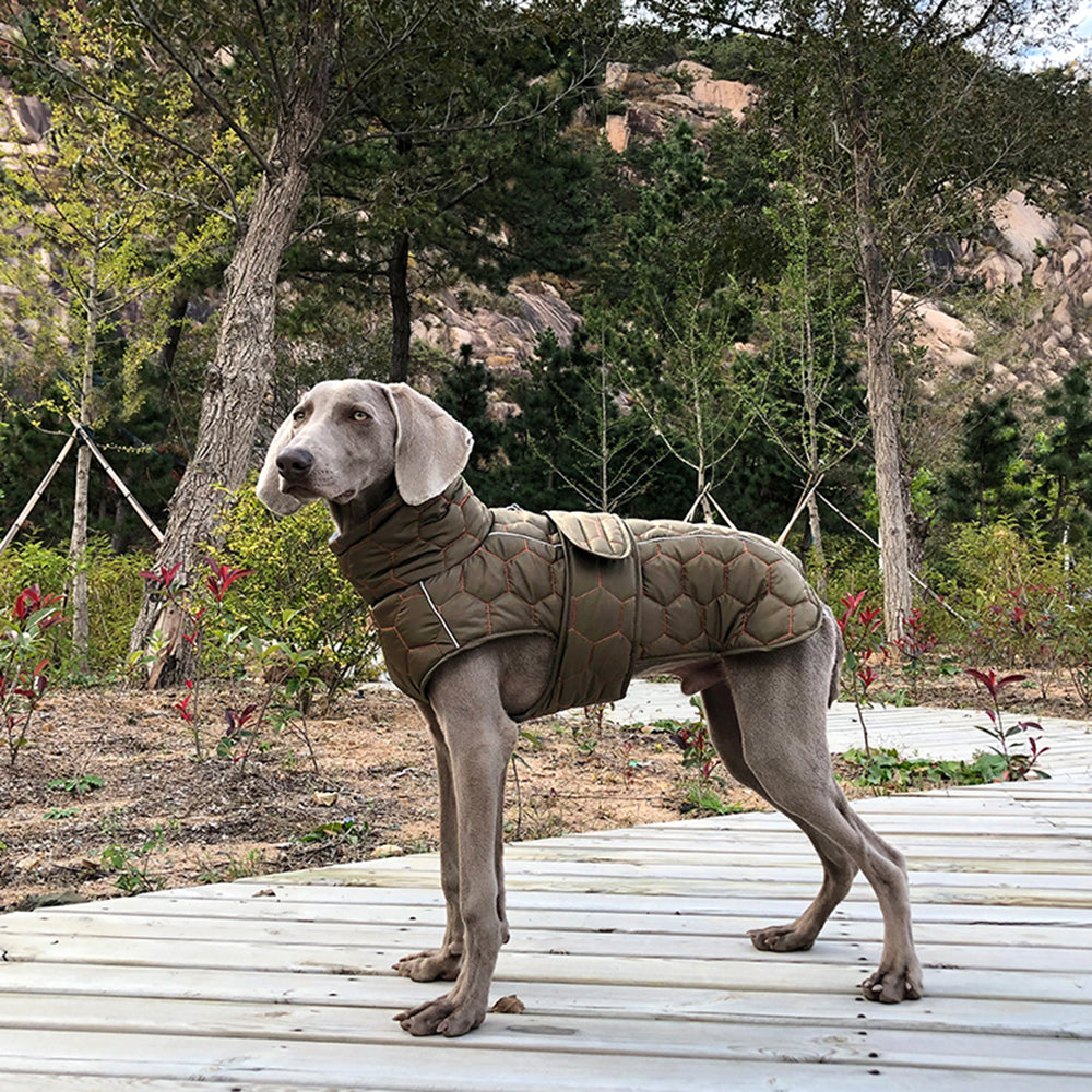 Dog Jacket - Dog Winter Coat