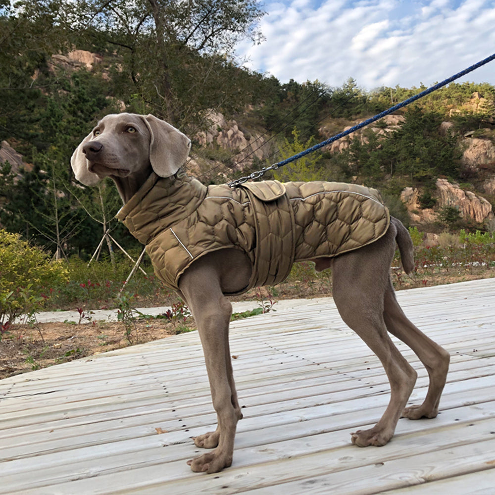 Dog Jacket - Dog Winter Coat