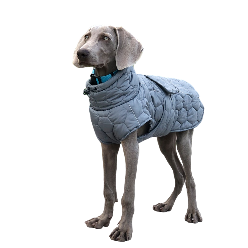 Dog Jacket - Dog Winter Coat